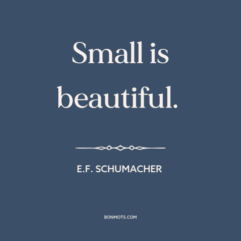 A quote by E.F. Schumacher about simplicity: “Small is beautiful.”