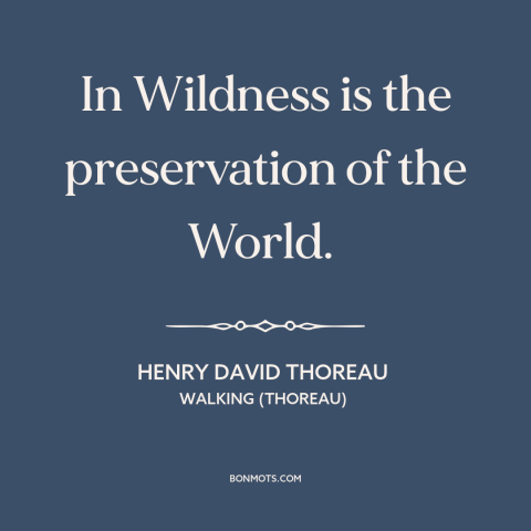 A quote by Henry David Thoreau about wilderness: “In Wildness is the preservation of the World.”