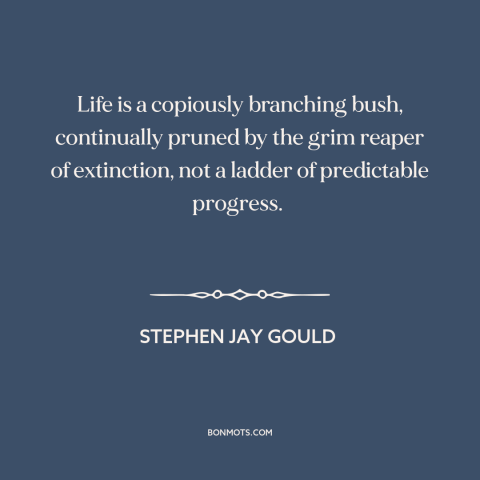 A quote by Stephen Jay Gould about randomness: “Life is a copiously branching bush, continually pruned by the grim…”