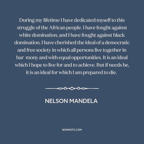 A quote by Nelson Mandela about activism: “During my lifetime I have dedicated myself to this struggle of the African…”