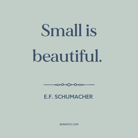 A quote by E.F. Schumacher about simplicity: “Small is beautiful.”