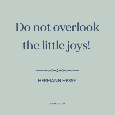 A quote by Hermann Hesse about the little things: “Do not overlook the little joys!”