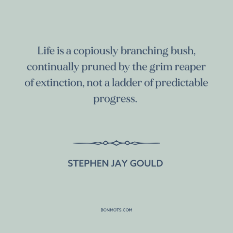 A quote by Stephen Jay Gould about randomness: “Life is a copiously branching bush, continually pruned by the grim…”